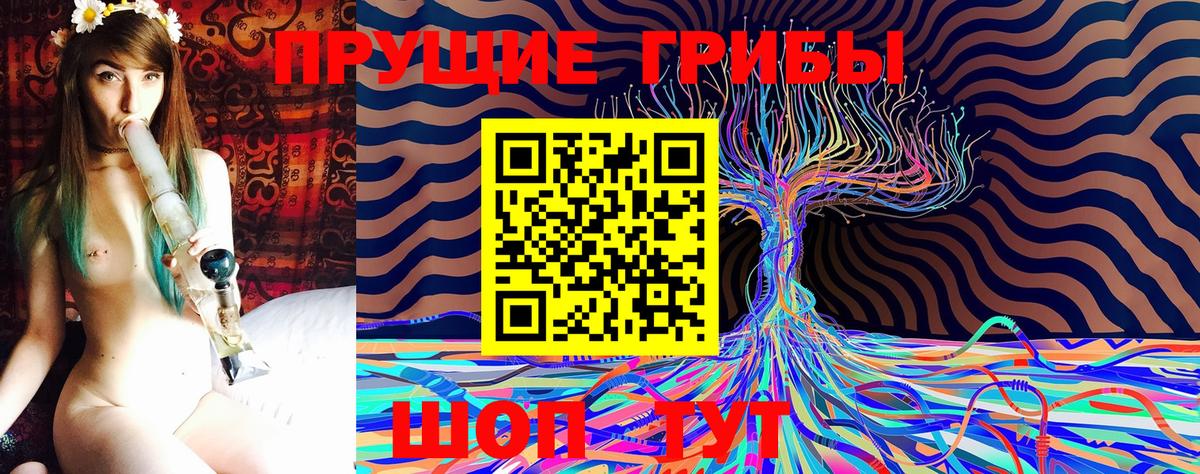 Псилоцибиновые грибы Cubensis Сарапул