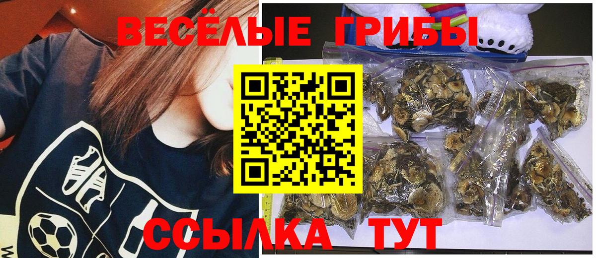 Галлюциногенные грибы Cubensis  Вход с VPN  Сарапул  Галлюциногенные грибы Cubensis 
